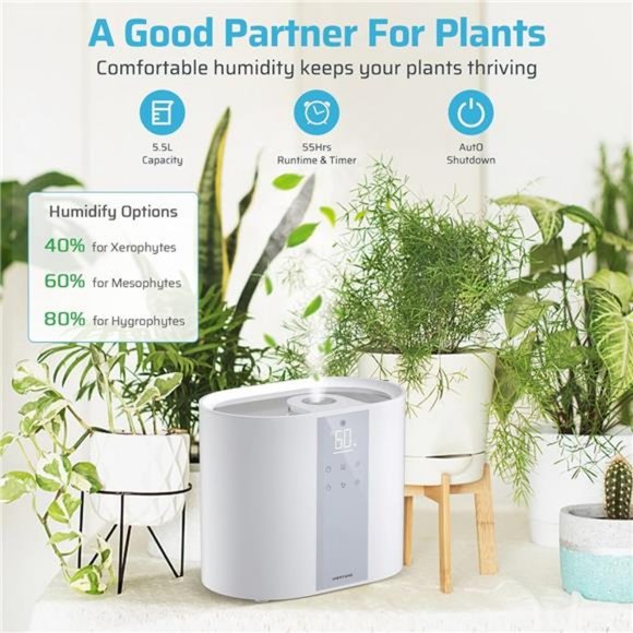 5.5L Top Fill Humidifier Large Room, 3 Modes Cool Mist with Oil Diffuser - Picture 8 of 8